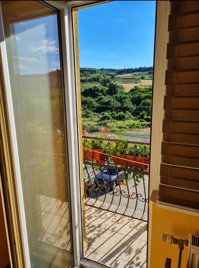 Vila Belilo Sremski Karlovci Bagian luar foto
