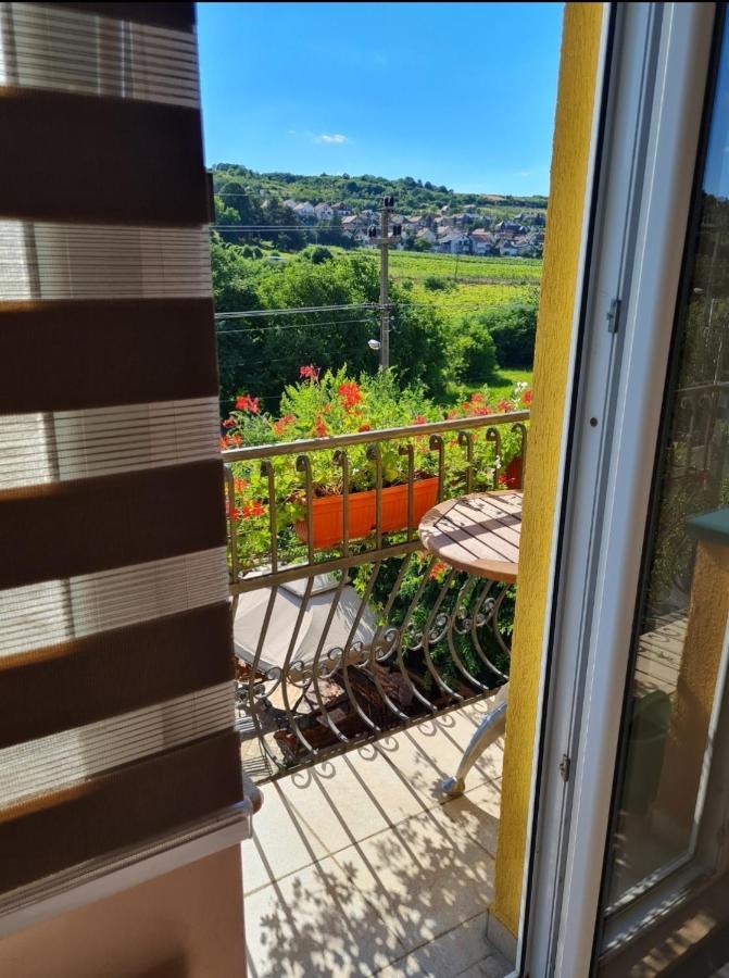 Vila Belilo Sremski Karlovci Bagian luar foto